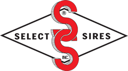 Select Sires Beef