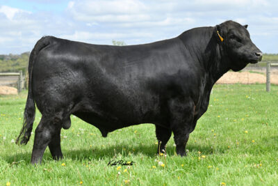 A A R Russell 7098