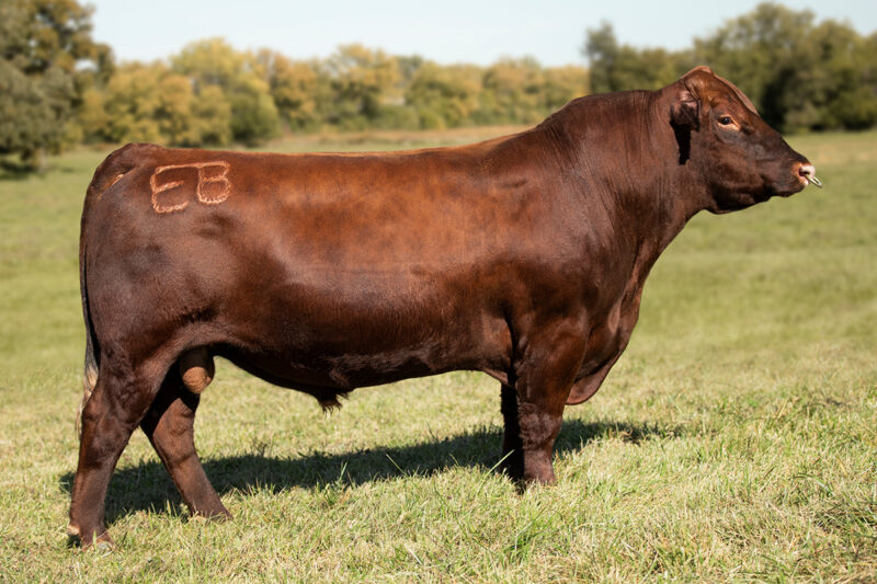 7SM134_MATURE