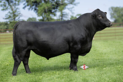 SSI Mega M103B